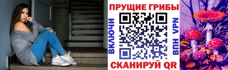 Галлюциногенные грибы Psilocybine cubensis где купить наркоту KRAKEN сайт Свирск